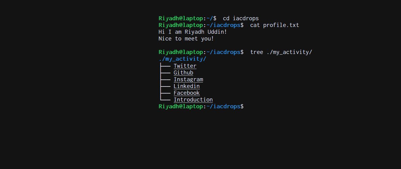 Shell based portfolio